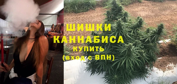 дживик Каменногорск