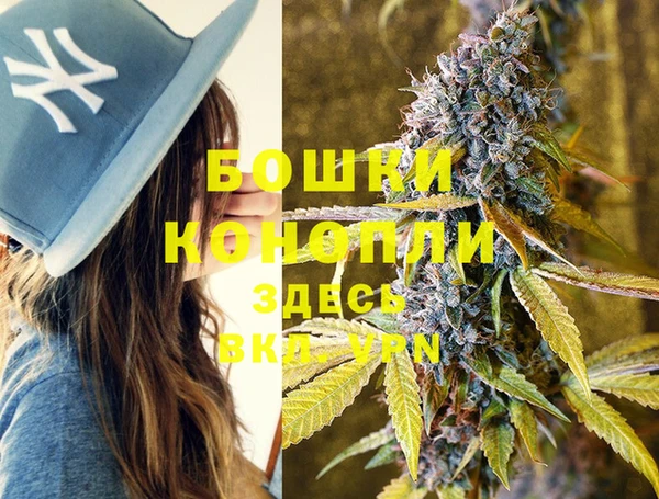 тгк Касимов