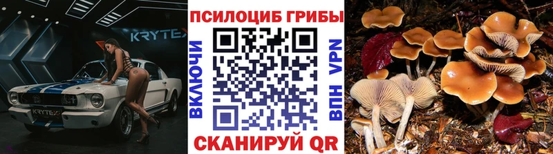 Галлюциногенные грибы Psilocybe  магазин продажи наркотиков  Кореновск 