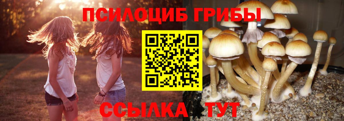 Галлюциногенные грибы Psilocybine cubensis  Вход с VPN  Кореновск  Галлюциногенные грибы MAGIC MUSHROOMS 